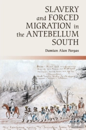 Slavery And Forced Migration In The Antebellum South