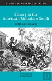 Slavery In The American Mountain South