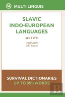 Slavic Languages Survival Dictionaries (Set 1 Of 5)