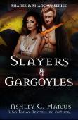 Slayers And Gargoyles