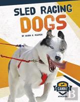 Sled Racing Dogs