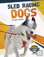 Sled Racing Dogs