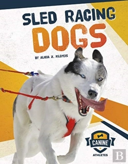Bertrand.pt - Sled Racing Dogs
