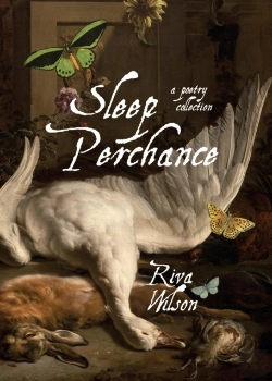 Bertrand.pt - Sleep Perchance