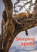 Sleeping Spots