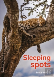 Sleeping Spots