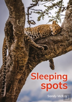 Bertrand.pt - Sleeping Spots