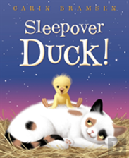Sleepover Duck!