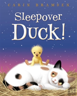 Bertrand.pt - Sleepover Duck!
