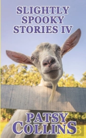 Slightly Spooky Stories Iv