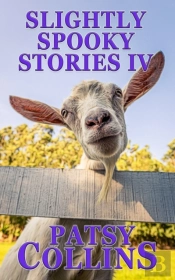 Slightly Spooky Stories Iv