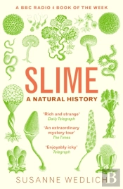 Slime