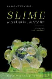 Slime