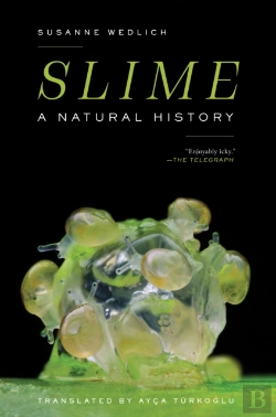 Bertrand.pt - Slime
