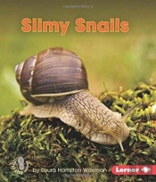 Slimy Snails