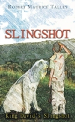 Bertrand.pt - Slingshot: King David'S Slingshot