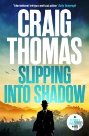 Slipping Into Shadow