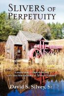 Slivers Of Perpertuity