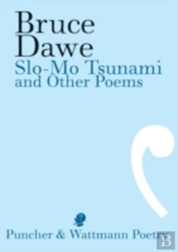 Bertrand.pt - Slo-Mo Tsunami And Other Poems