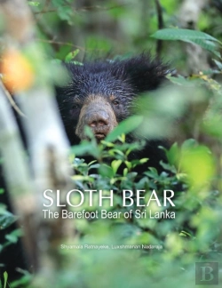 Bertrand.pt - Sloth Bear
