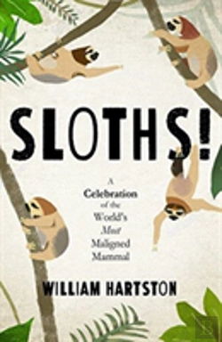 Bertrand.pt - Sloths!