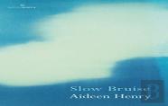Slow Bruise