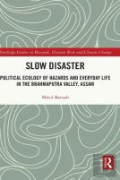 Slow Disaster