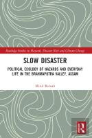 Slow Disaster