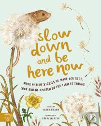 Slow Down And Be Here Now