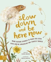 Slow Down And Be Here Now
