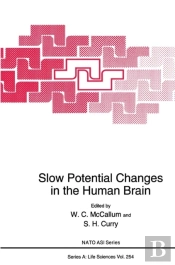 Slow Potential Changes In The Human Brain