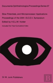 Slow Potentials And Microprocessor Applications