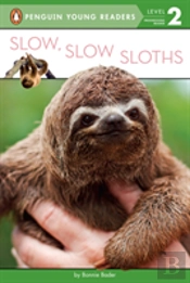 Slow Slow Sloths