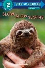 Slow, Slow Sloths