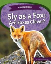 Sly As A Fox
