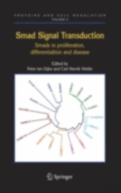 Bertrand.pt - Smad Signal Transduction