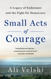 Small Acts Of Courage