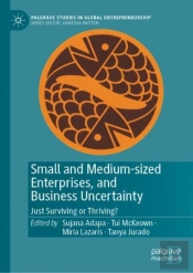 Small And Medium-Sized Enterprises, And Business Uncertainty