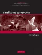 Small Arms Survey 2012