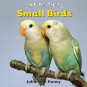 Small Birds