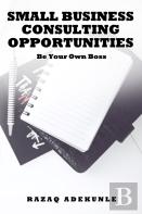 Small Business Consulting Opportunities