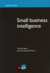 Small Business Intelligence