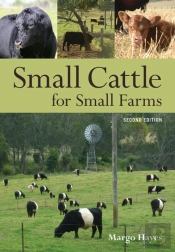 Small Cattle For Small Farms