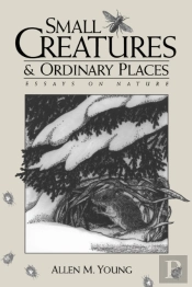 Small Creatures And Ordinary Places