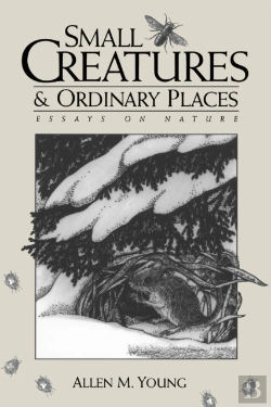 Bertrand.pt - Small Creatures And Ordinary Places