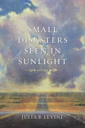 Small Disasters Seen In Sunlight
