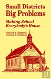 Small Districts, Big Problems