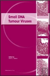Small Dna Tumour Viruses
