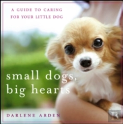Bertrand.pt - Small Dogs, Big Hearts
