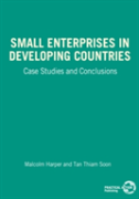 Small Enterprises In Developing Countries